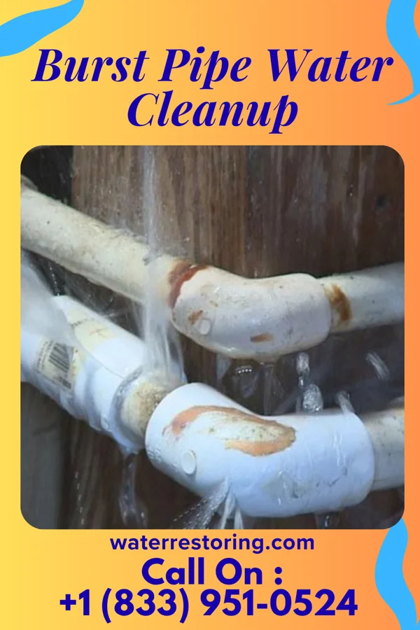 Burst Pipe Water Cleanup in Carbondale, PA