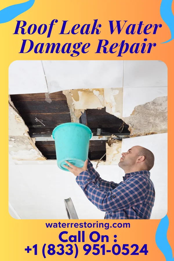 Roof Leak Water Damage Repair in Carbondale, PA