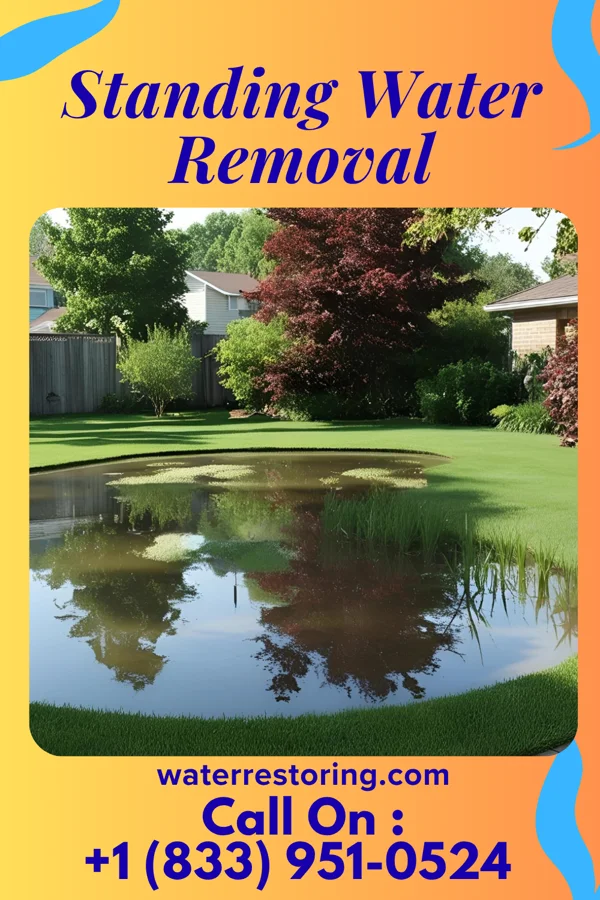 Standing Water Removal in Carbondale, PA